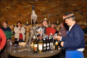 Degustace vín