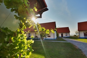 Slovácké chalupy
