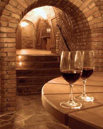 Slovak evening with tasting, wine and accommodation