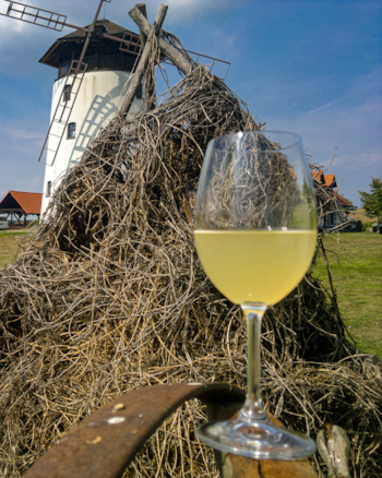 Valtické vinobraní
