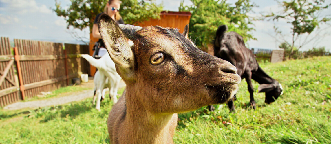 Velikonoční pobyt na mlýně