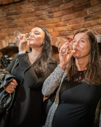 Weekend with wine tasting at Bukovany mill