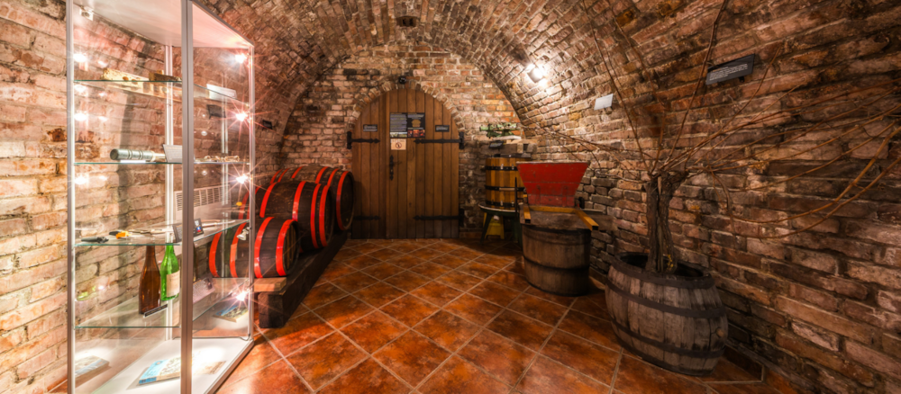 Vinařská turistika 4