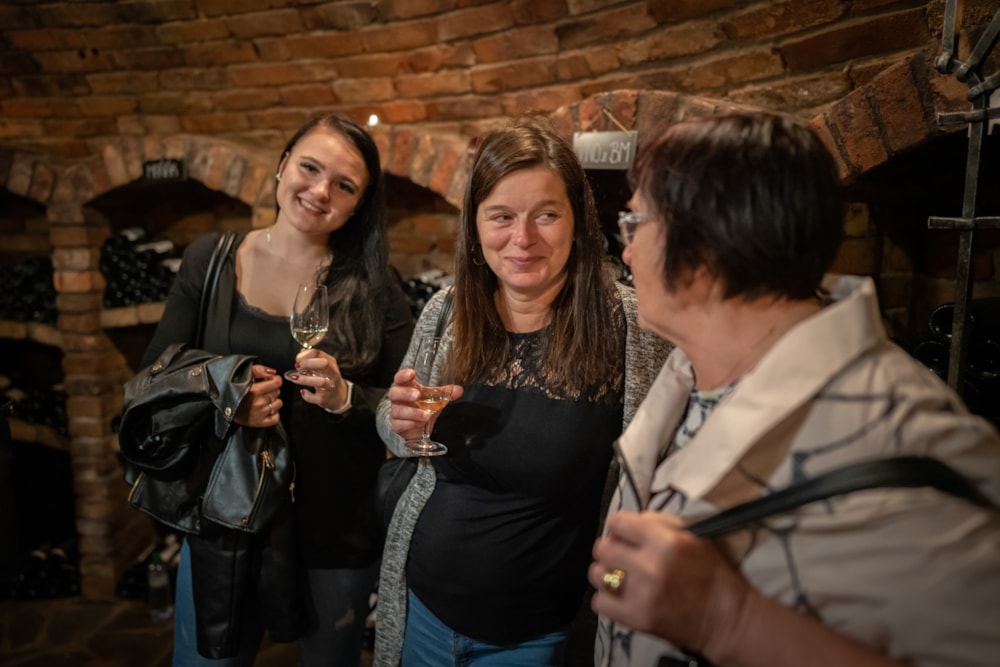 DEGUSTACE NEALKOHOLICKÝCH VÍN