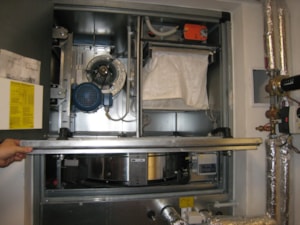 Tyn-10