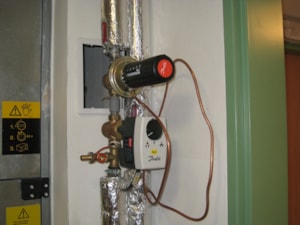 Tyn-11