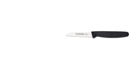 Giesser 8305 sp 8