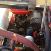 Yanmar SW500CL