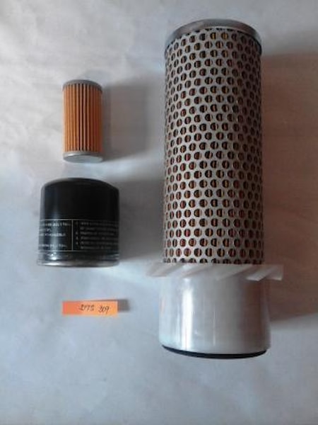 SFTS309