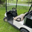 Vozík golfový EzGO RXV s LI baterií