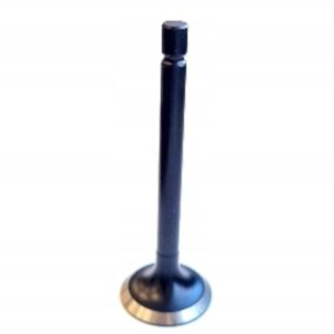 Ventil sací Iseki E3100, E3112, E393