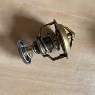 Termostat Kioti EX50