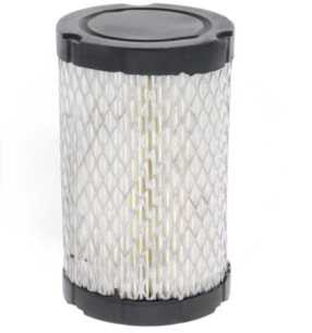 Filtr vzduchu Briggs&Stratton 