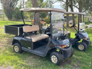 Vozík elektrický EZGO RXV Black 48V vč. příslušenství v.č. 5546789/2