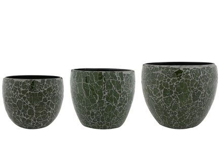 Set 3 obalů Xenia zelená D21 H17