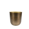 Obal Mayren gold D20 H22