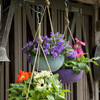 Artstone Fiona compilatie_1