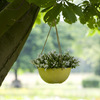 Artstone Fiona lemon_1