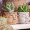 Obal Buddha cement D9 H7