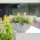 Mísa Nova terrazzowhite D25 H12