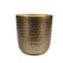 Obal Mayren gold D31 H31
