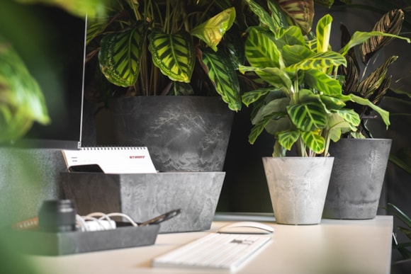 1_Claire_Ella_zwart_grijs_07