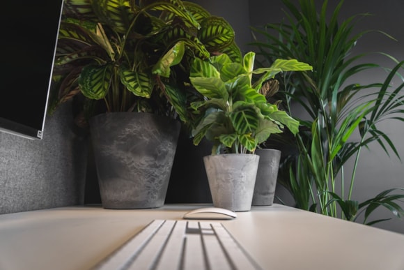 1_Claire_zwart_grijs_09