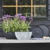 Truhlík Nova concrete D55x16 H17