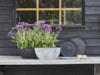 Truhlík Nova concrete D55x16 H17