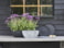 Truhlík Nova concrete D55x16 H17