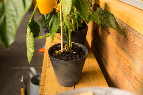 2_Claire_zwart_grijs_24