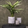 Obal Imre cement D11 H17