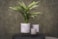 Obal Imre cement D11 H17