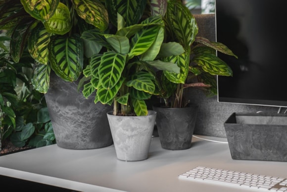 3_Claire_Ella_zwart_grijs_01