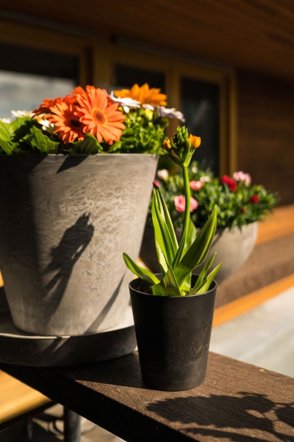 3_Claire_zwart_grijs_18