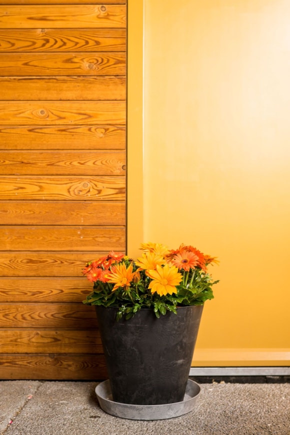 3_Claire_zwart_grijs_21