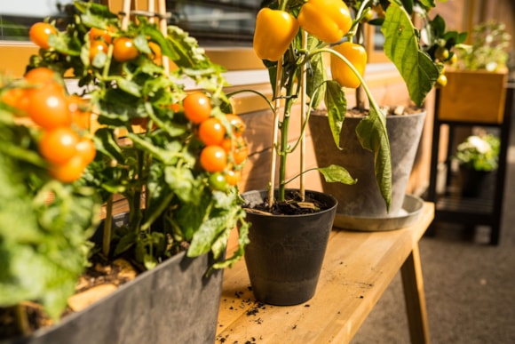 4_Claire_zwart_grijs_26