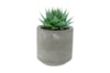 Obal Saar cement D8 H8