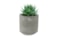 Obal Saar cement D8 H8