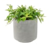 Obal Saar cement D16 H15