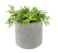 Obal Saar cement D16 H15