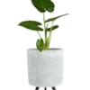 Obal Imre cement D11 H17