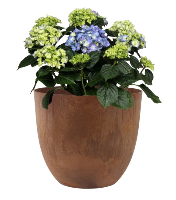 import_58_150854
