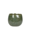 Obal Mischa forest D19 H16