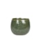 Obal Mischa forest D19 H16