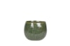 Obal Mischa forest D19 H16