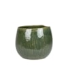 Obal Mischa forest D22 H18