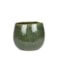 Obal Mischa forest D22 H18