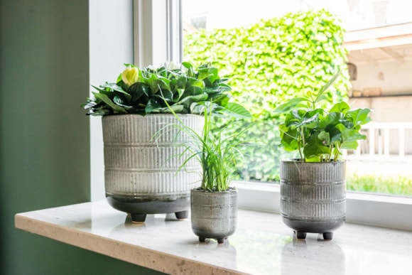 1_Denise_off_white_03