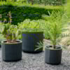 Sada 5 květináčů Gabi černá D55 H50
